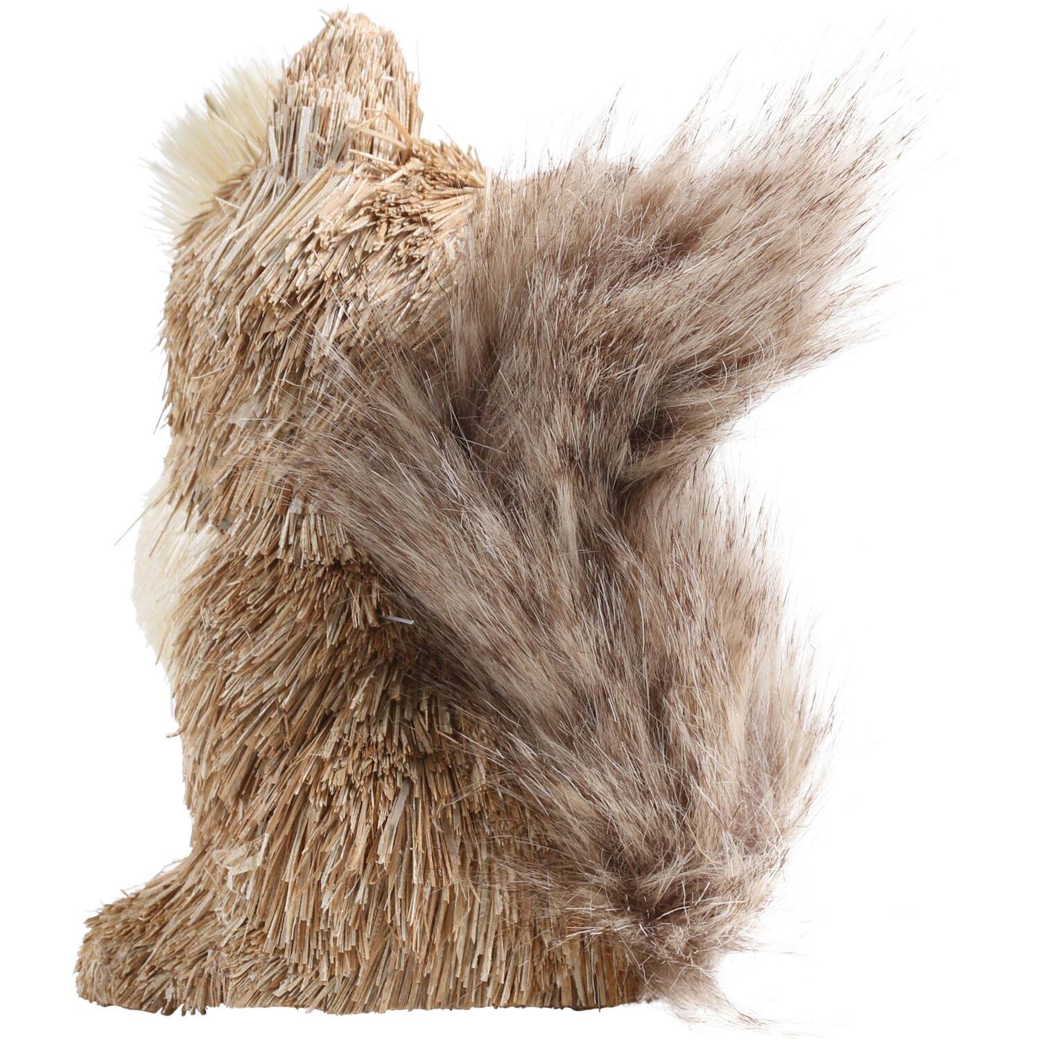 Autumn Fox - Natural Image 4