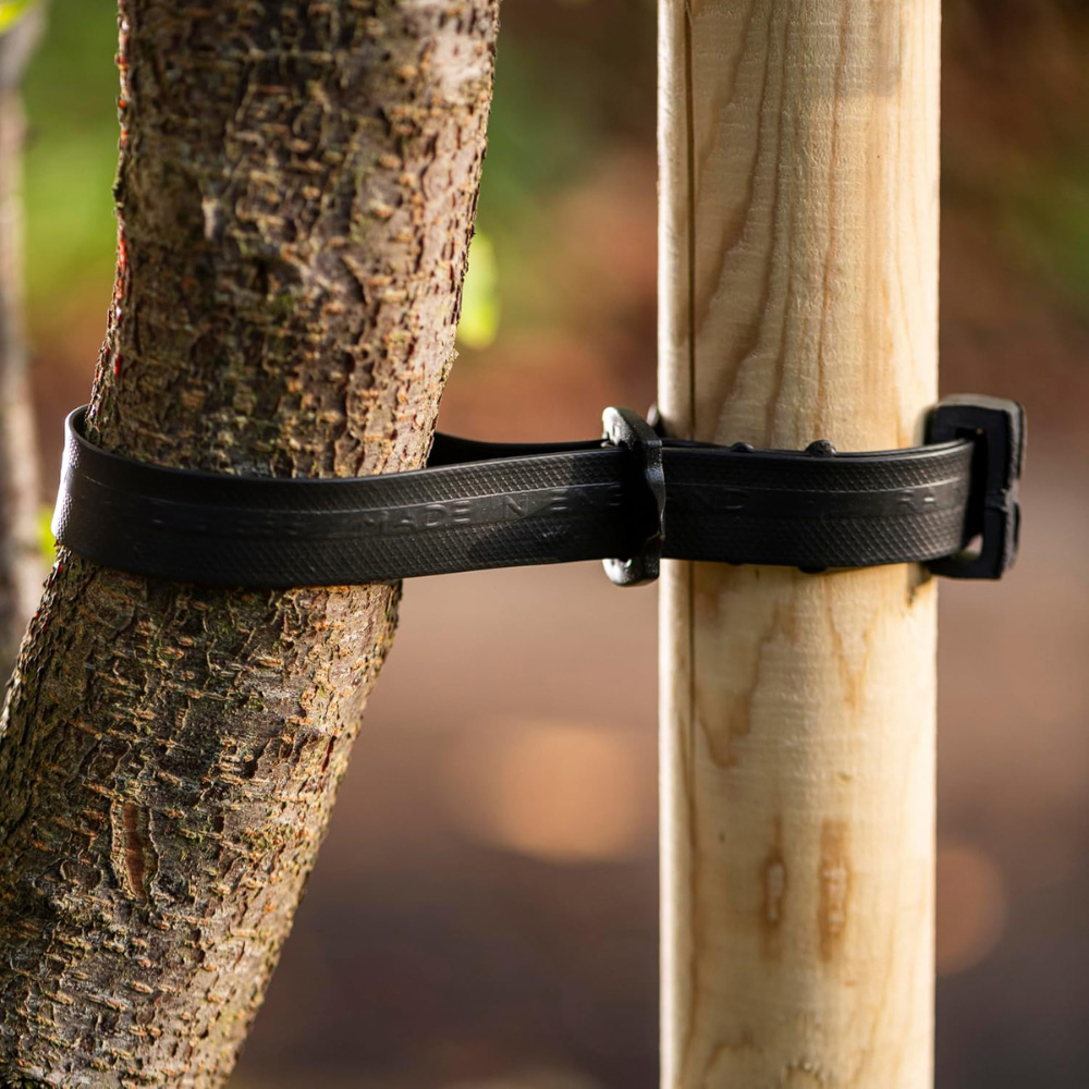 Garden Gear Adjustable Heavy-Duty Buckle Tree Tie 600 x 25cm 2 Pack Image 5