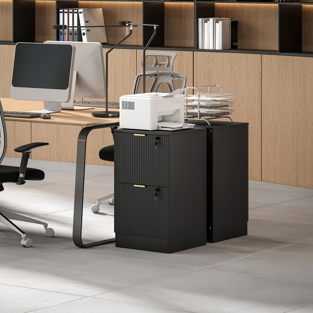 HOMCOM 2 Drawer Black Filing Cabinet with Hanging Rails Image 3
