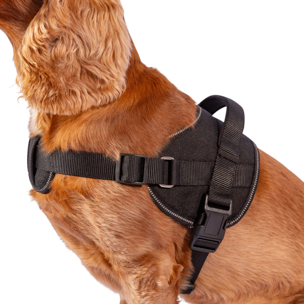 Explorer Harness Black Large Image 4