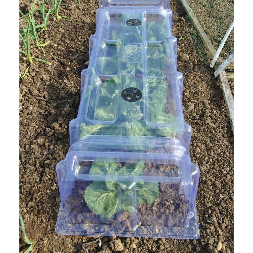 Thompson & Morgan Mini Greenhouse Garden Cloche 3 Pack 40 x 85cm Image 4