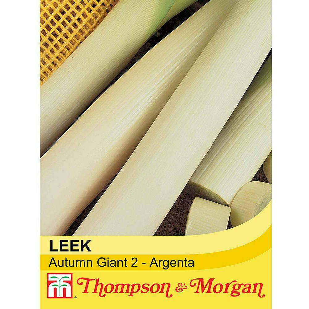 Thompson and Morgan Leek Autumn Giant 2 Seeds Image 1