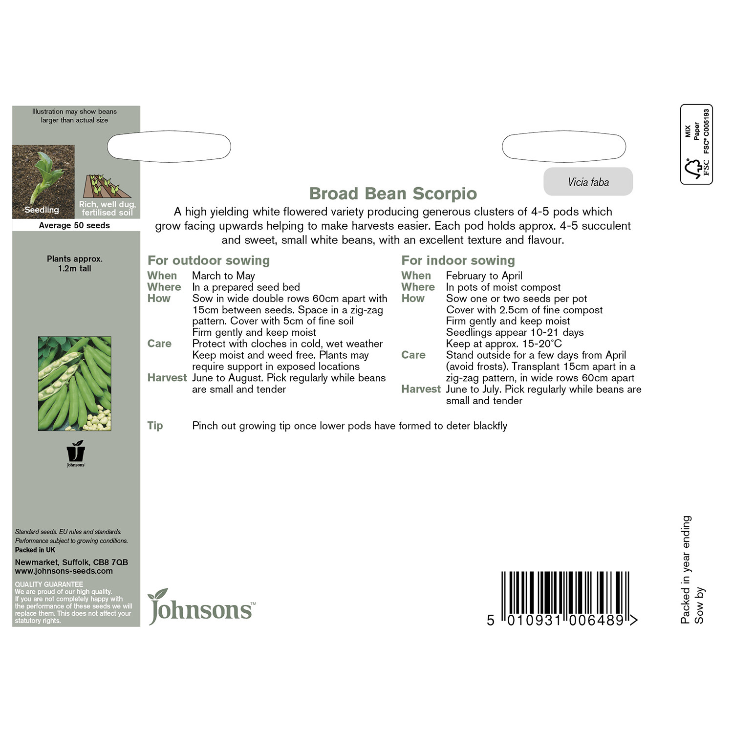 Johnsons Scorpio Broad Bean Seeds Image 3