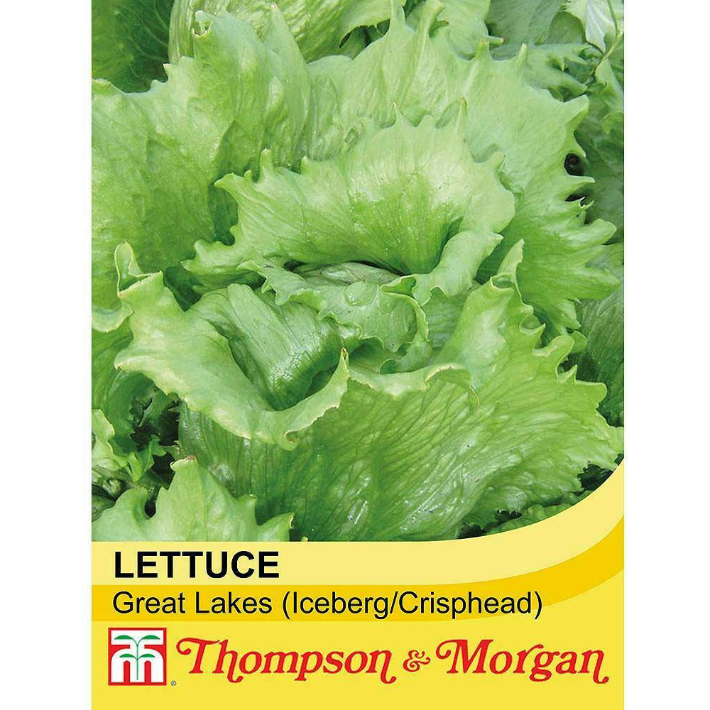 Thompson and Morgan Lettuce Great Lakes Heritage Seeds Image 2