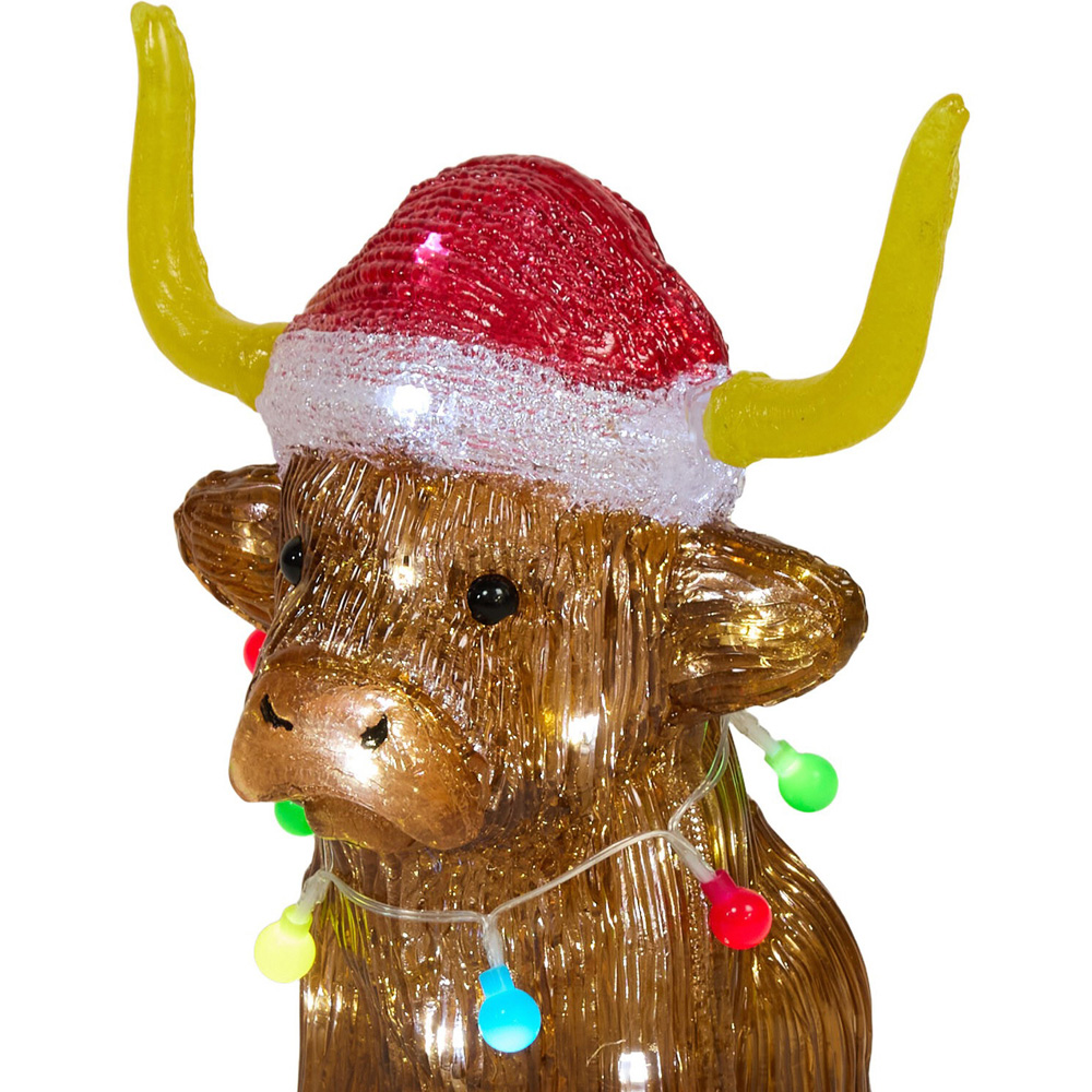 Acrylic Highland Cow Decoration Image 7