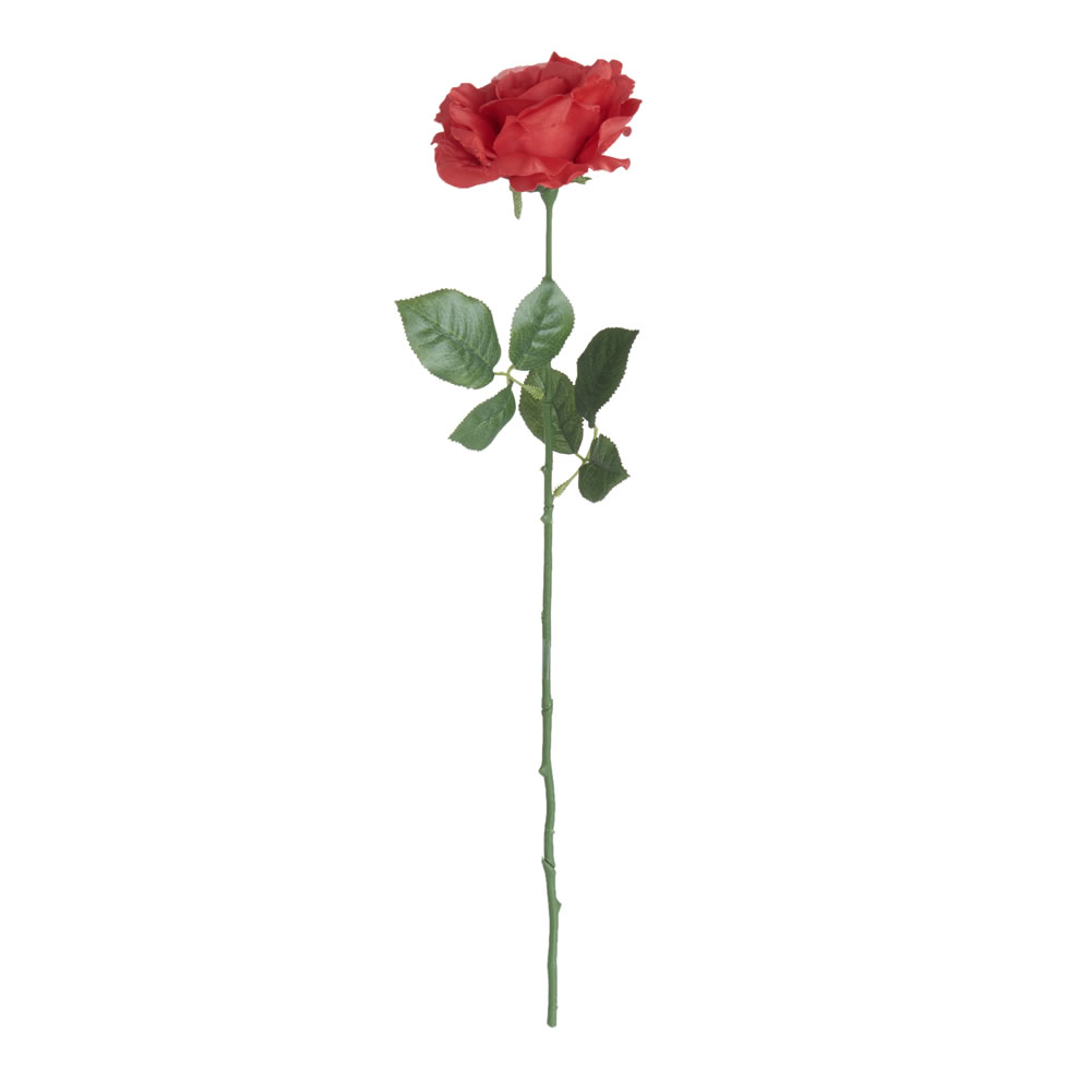 Wilko Rose Single Stem Flower Red Image