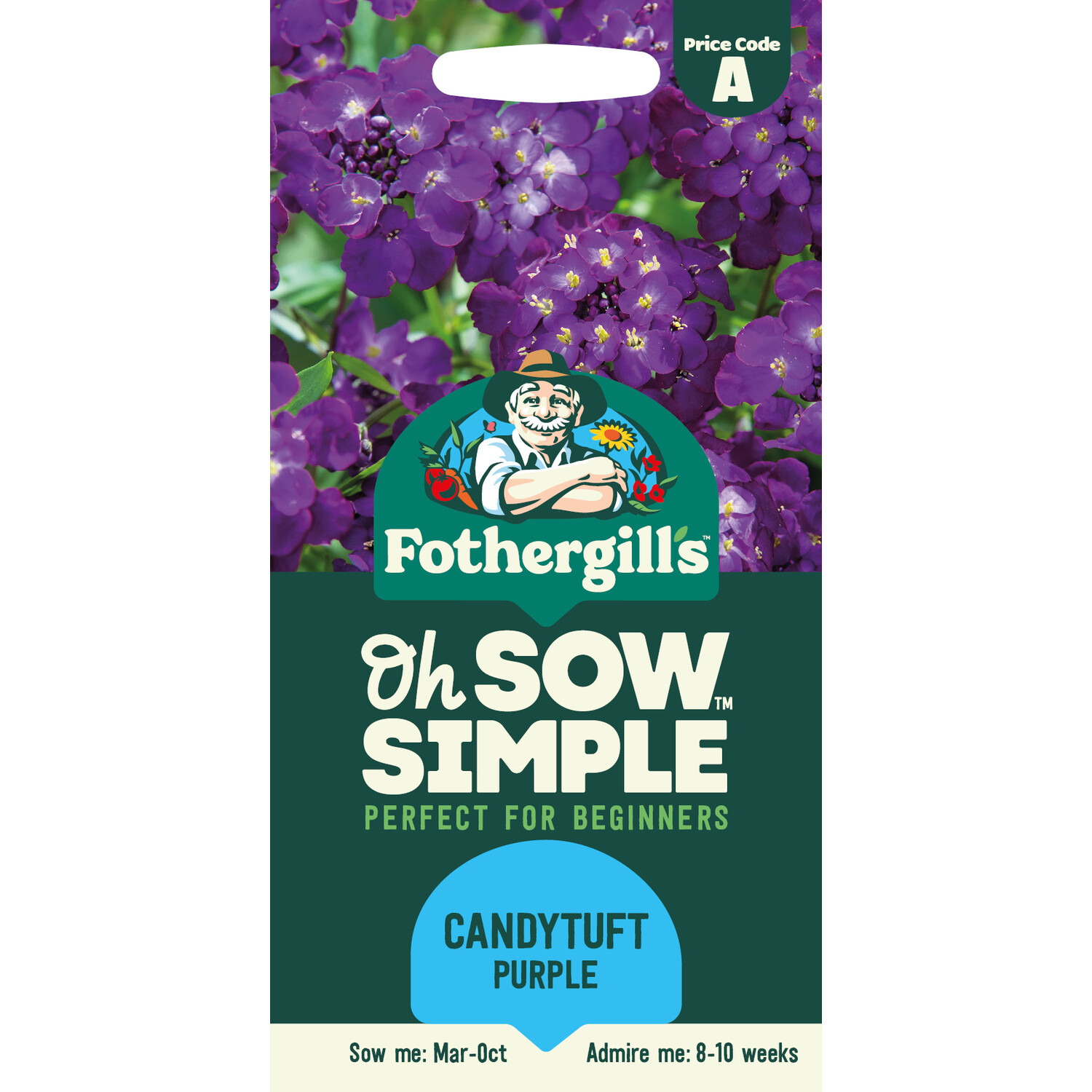Candytuft Purple Seeds Image 1