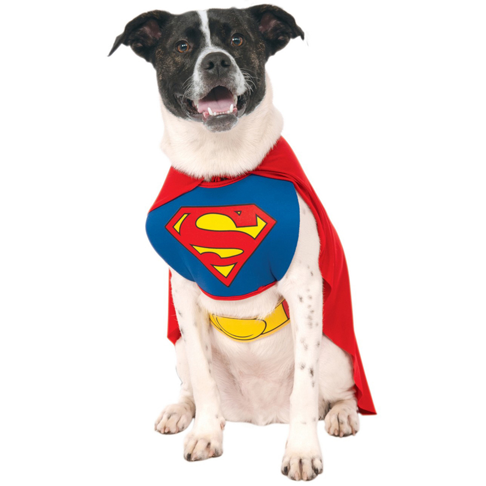 Superman Dog Costume XL Red Blue and Yellow Image