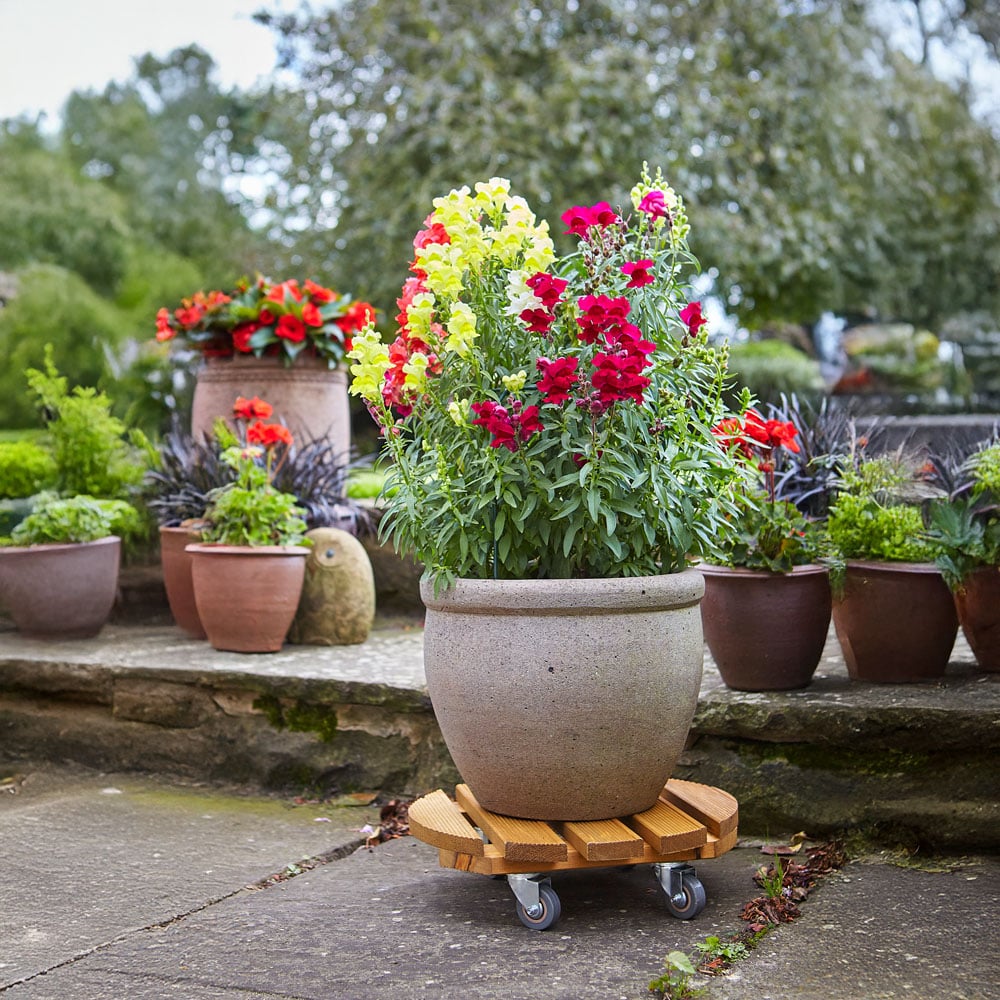 Tom Chambers Natural Garden Plant Stand with Wheels 50cm Image 2