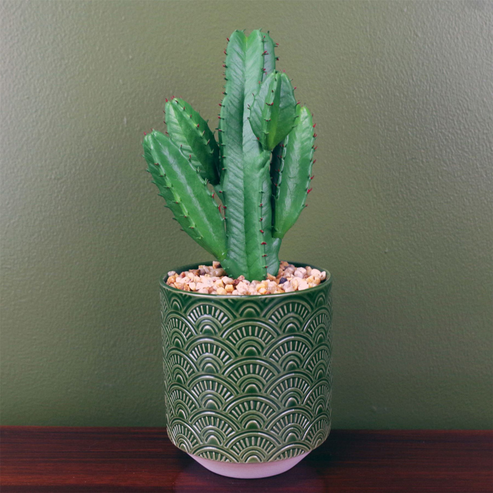 Leaf Cactus Artificial Plant in Green Ceramic Planter 23cm Image 2