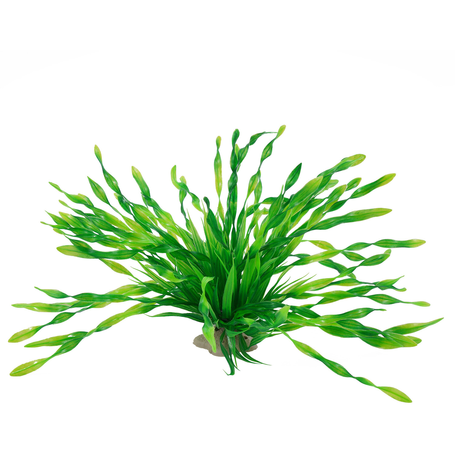 Seagrass Bush - S Image 3