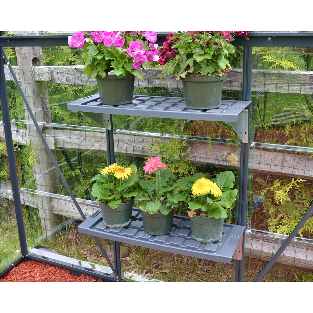 Palram Canopia 64cm Shelf Kit 2 Pack Image 3
