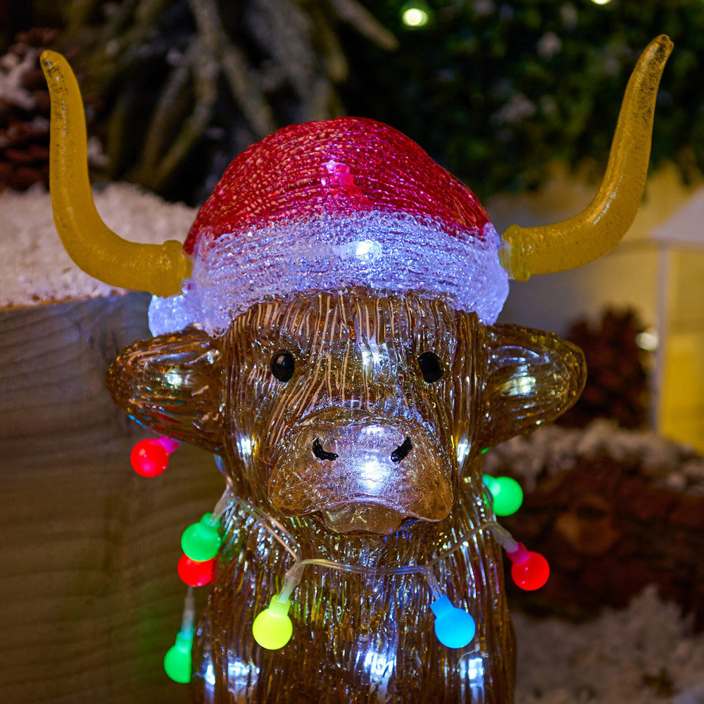 Acrylic Highland Cow Decoration Image 5
