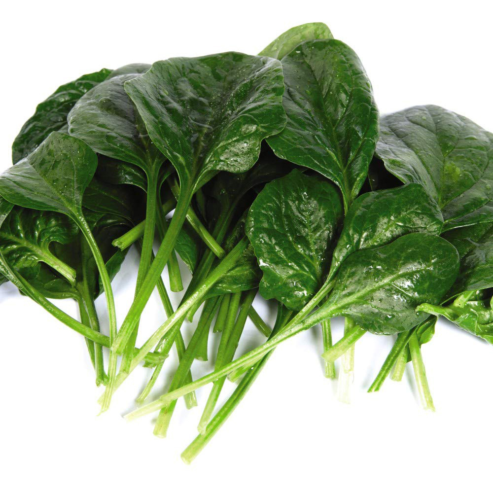 Thompson and Morgan Spinach Helios F1 Seeds Image 2