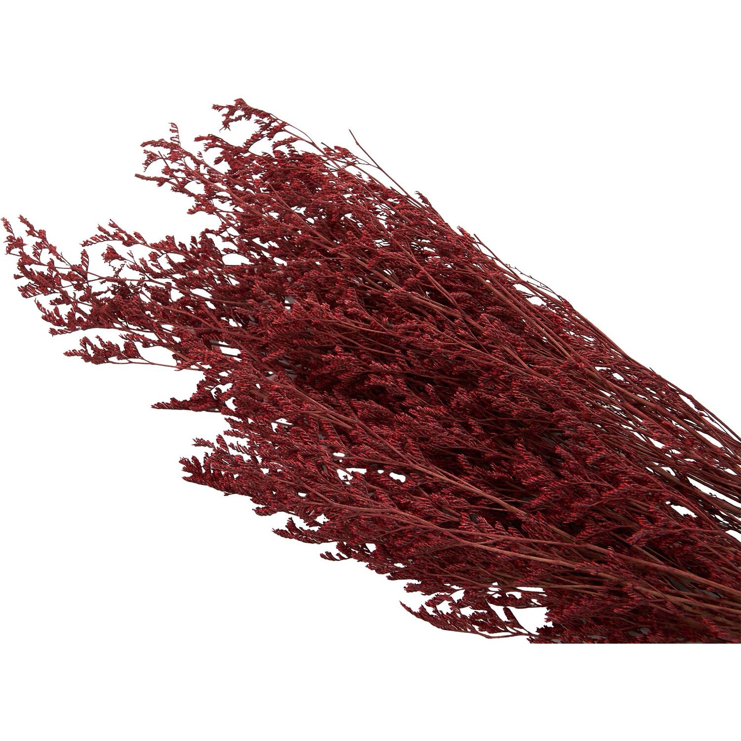 Gypsophilia Bouquet Image 3