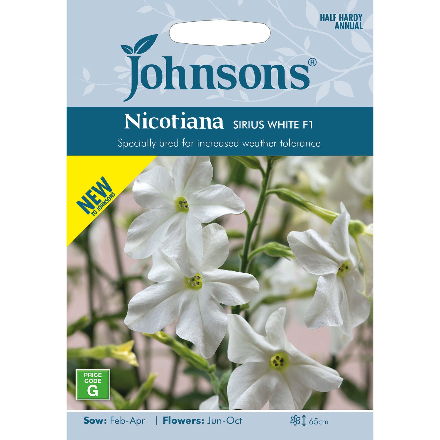 Johnsons Nicotiana Sirius White F1 Flower Seeds - White Image 1