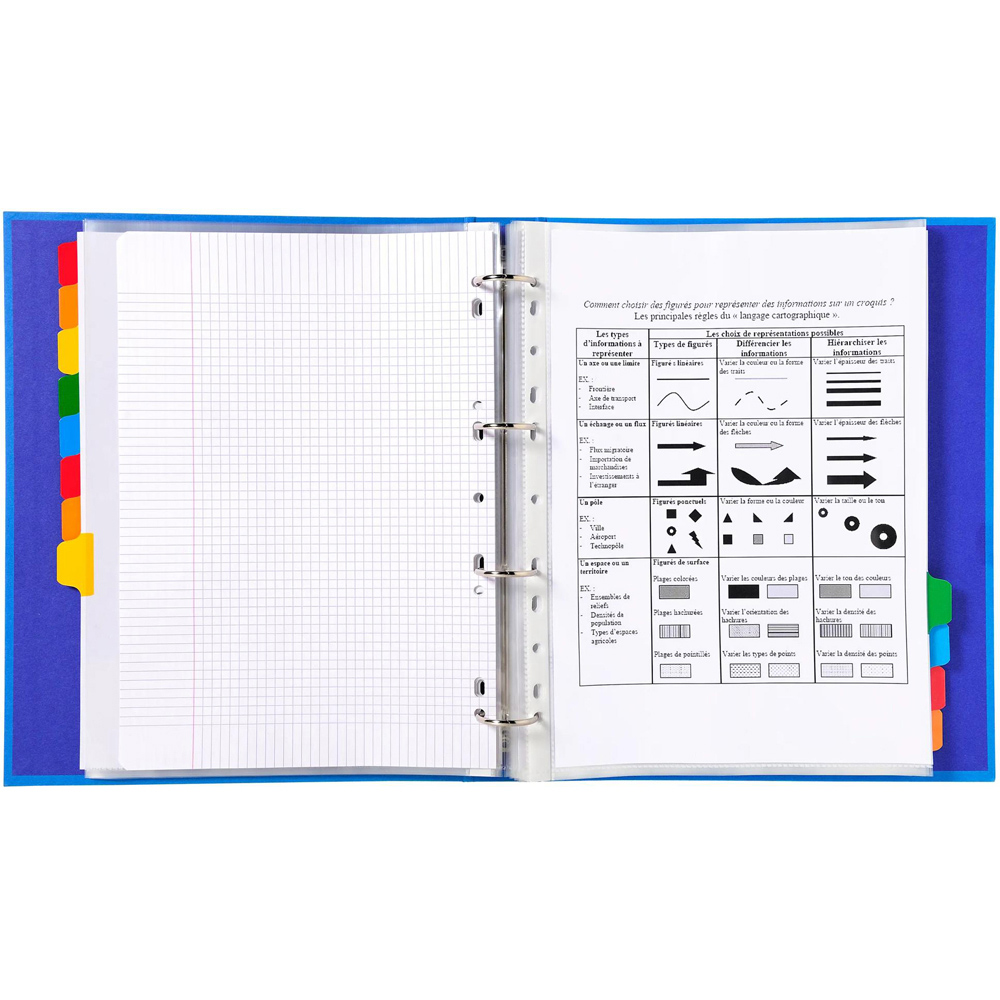 Exacompta A4 Maxi 12 Section White Divider with Multicolour Tabs 20 Pack Image 4