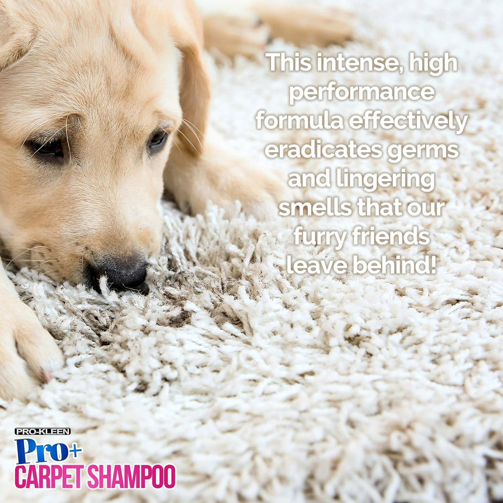Pro-Kleen Pro Plus Ocean Fresh Pet Carpet Shampoo 5L Image 7