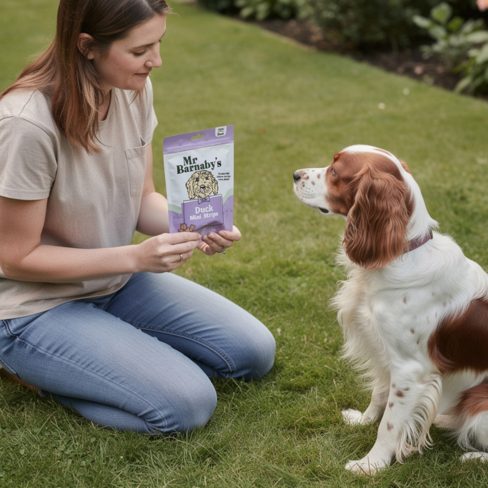 Mr Barnaby's Duck Mini Strips Dog Treats 80g 4 Pack Image 3