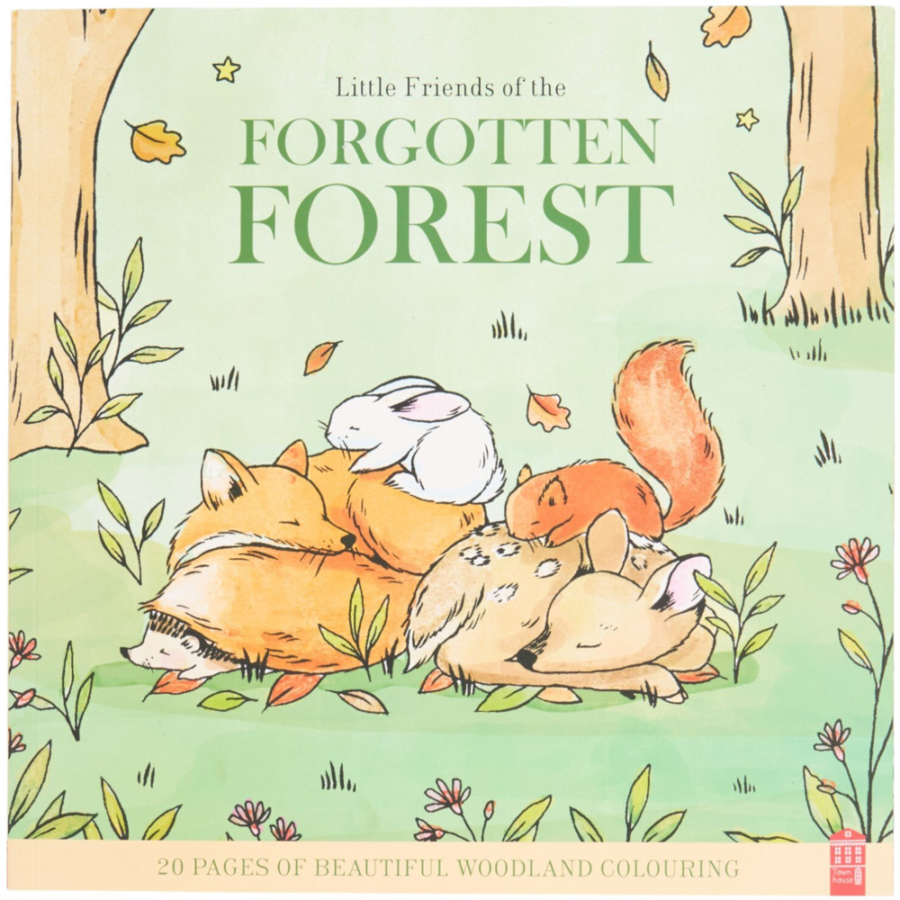 Little Autumn Friends Colouring Book Image 2