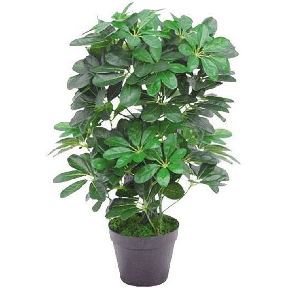 Leaf Evergreen Small Artificial Plant Pot 55cm Image 1