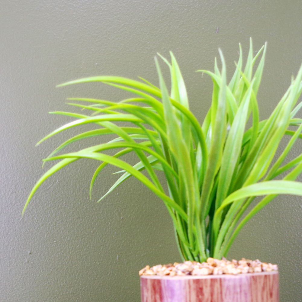 Botanik Artificial Grass Plant in Ceramic Pot with Metal Stand 35cm Image 4