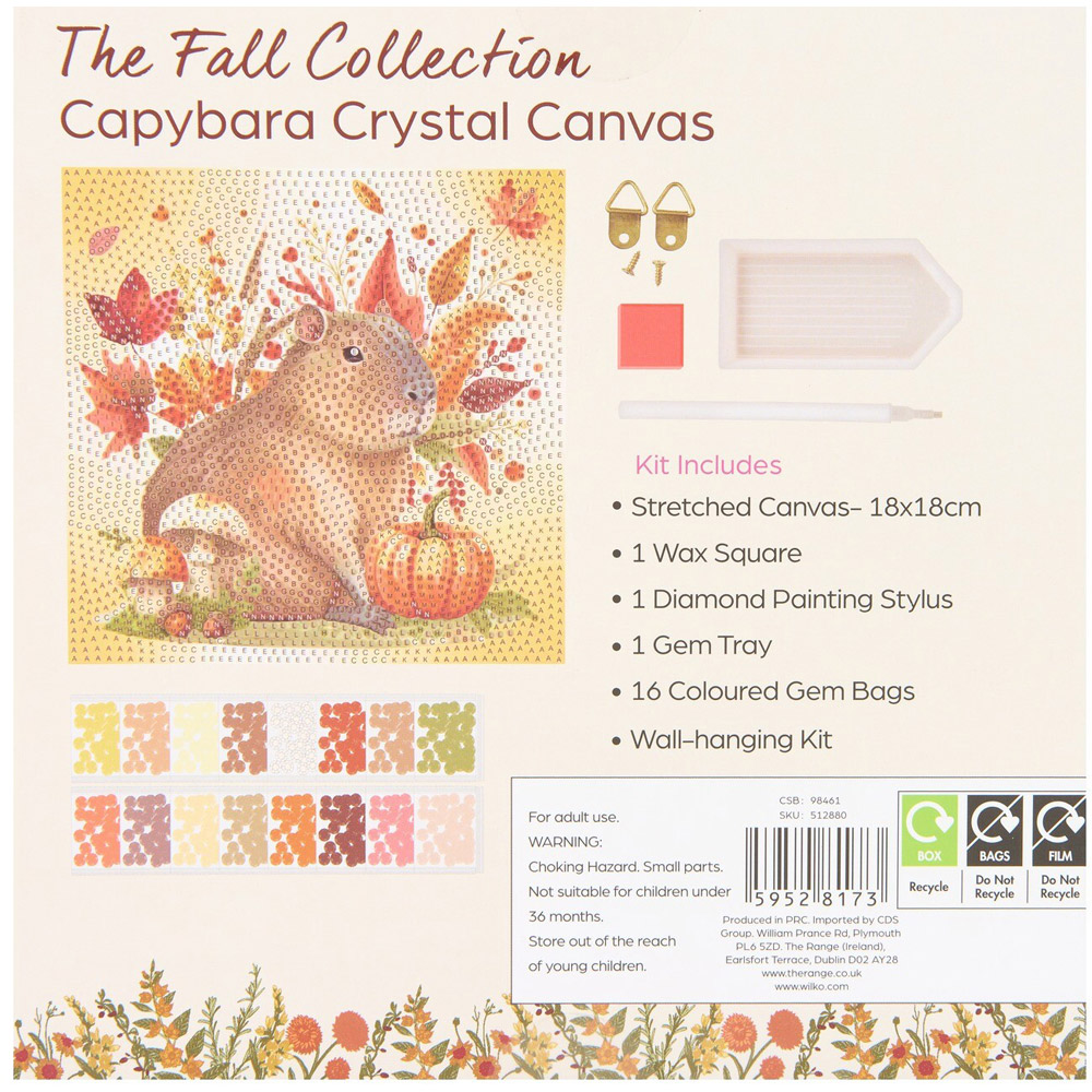 Floral or Pumpkin Capybara Crystal Canvas Kit Image 7