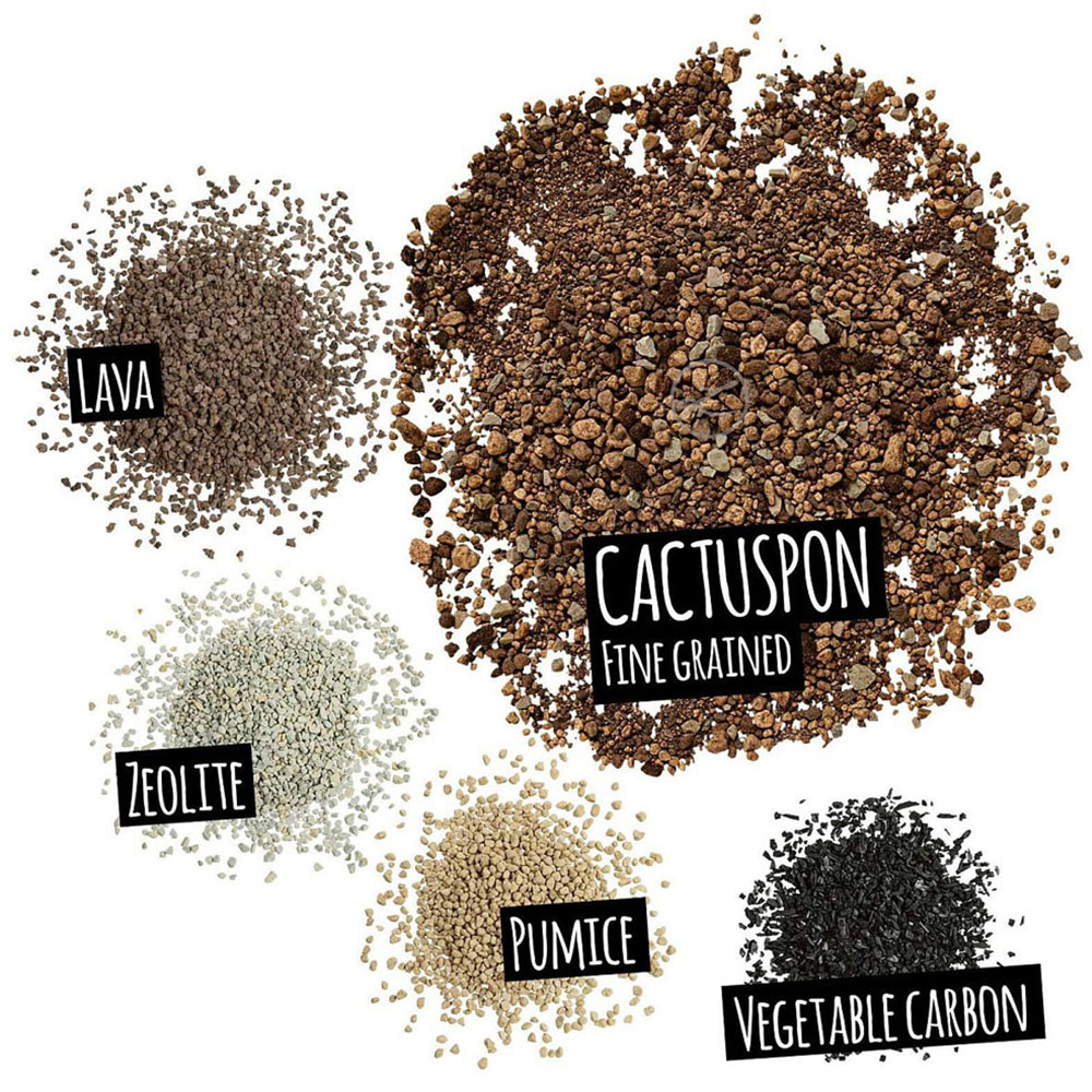 Lechuza Cactuspon Succulent Mineral Substrate 3L 6 Pack Image 3