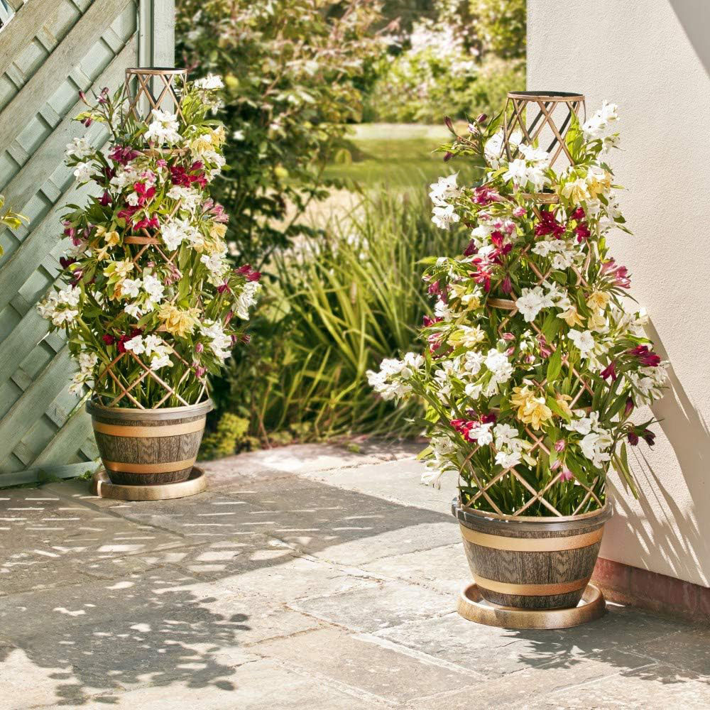 Thompson and Morgan Wooden Barrel Effect Tower Pot 24cm Image 4