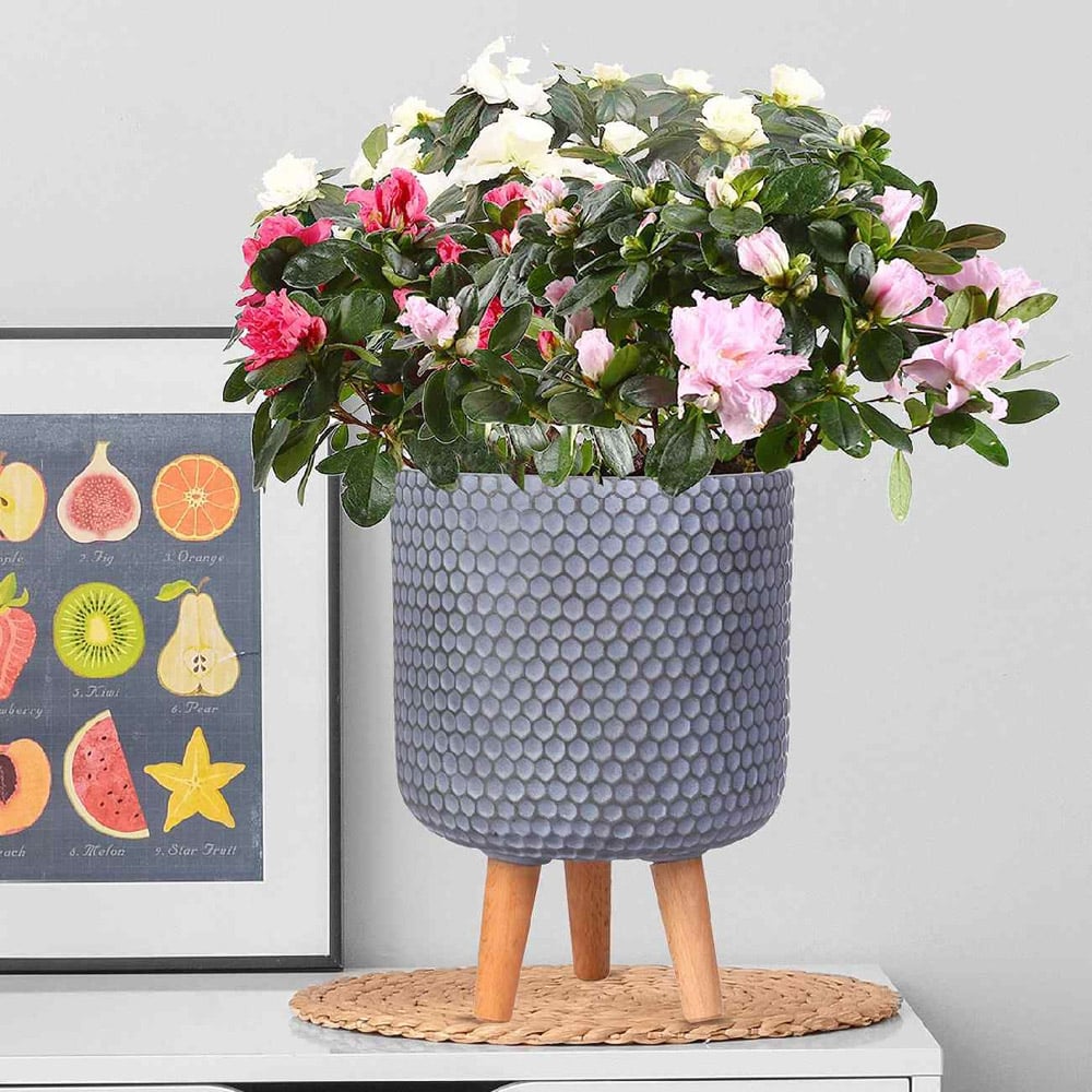 wilko Honeycomb Green Grey Cylinder Garden Indoor Planter on Legs 34cm Image 2