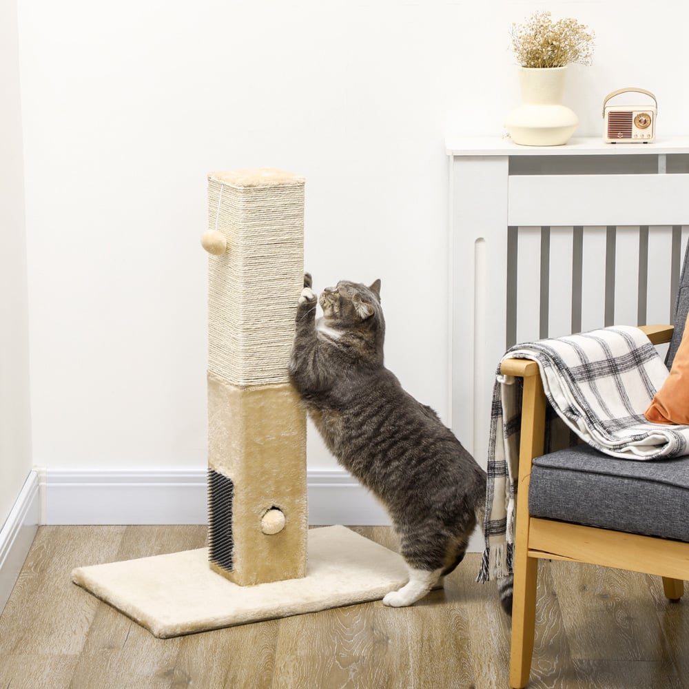 Cat scratching post wilko shop