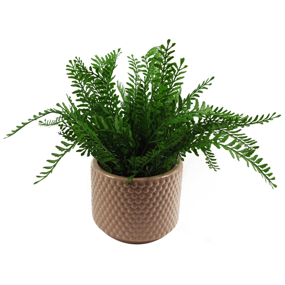 Botanik Pink Dots Ceramic Planter 12.5 x 15cm Image 5