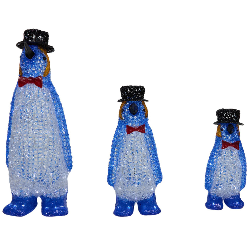 Set of 3 Acrylic Smart Penguin Family Image 4