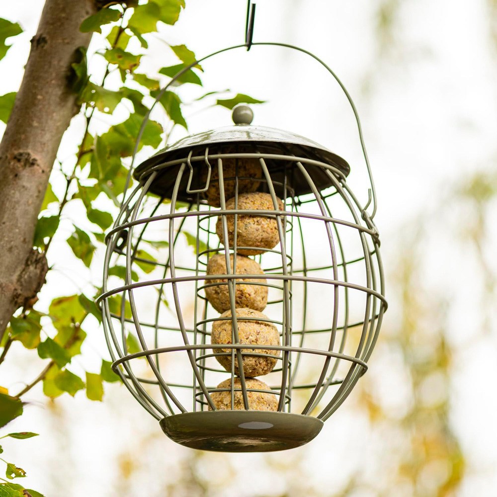 Thompson and Morgan Happy Beaks Orbital Squirrel Proof Fatball Feeder Image 2