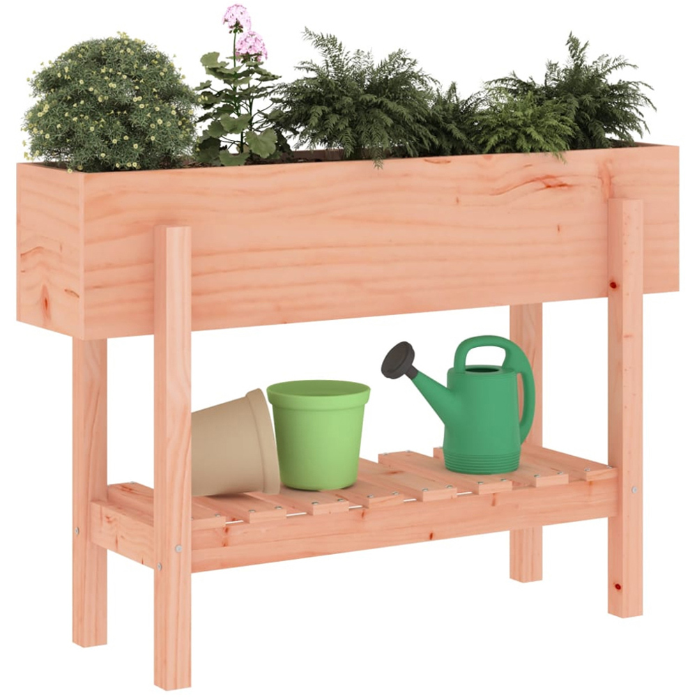 vidaXL Single Shelf Natural Raised Garden Bed 101 x 30 x 69cm Image 2