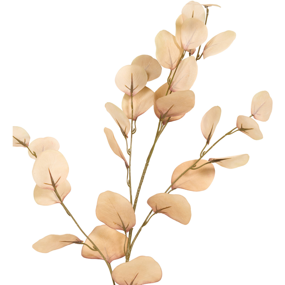 Faux Autumn Eucalyptus Branch Image 7