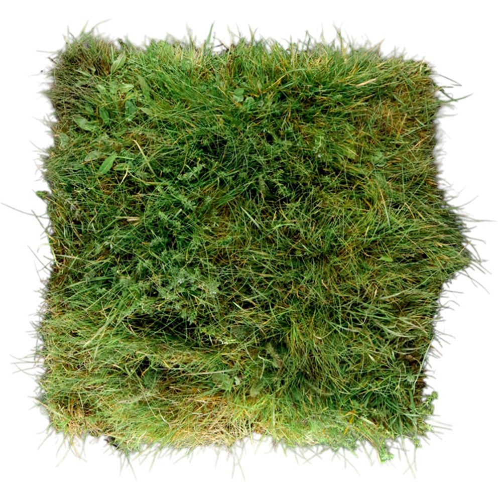 Harrowden Species Rich Lawn 20sqm Image 1