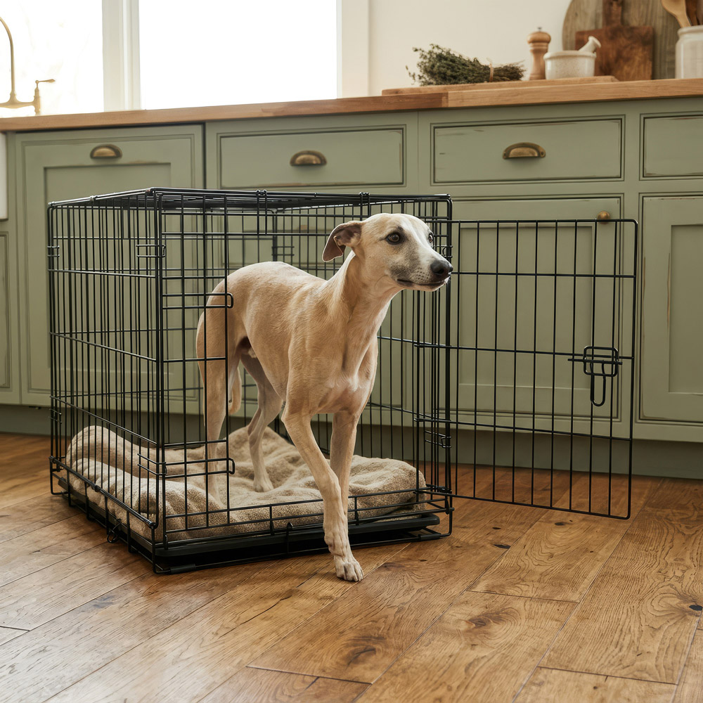 Harbour Housewares 2 Door Black Metal Medium Dog Crate with Removable Tray Image 5