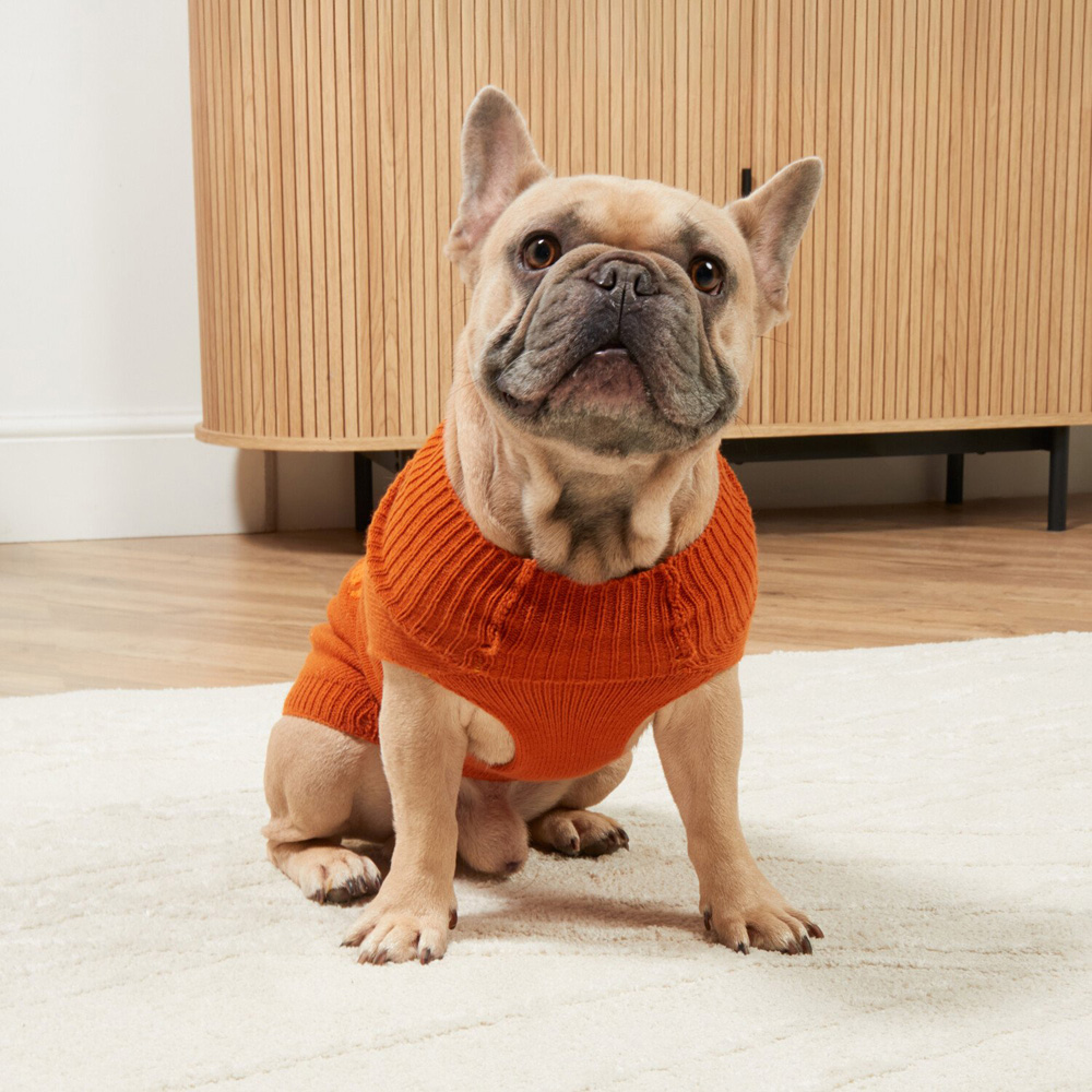 Pumpkin Jumper Orange 34cm Image 4