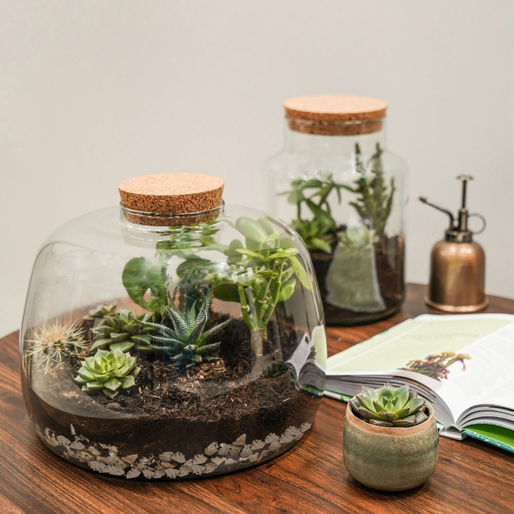 Ivyline Large Bottle Shape Terrarium DIY Kit 26.5 x 19cm Image 5