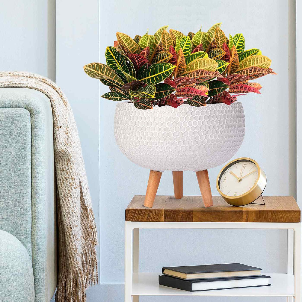 wilko Honeycomb White Fibre and Stone Bowl Indoor Plant Pot with Legs 29cm Image 4