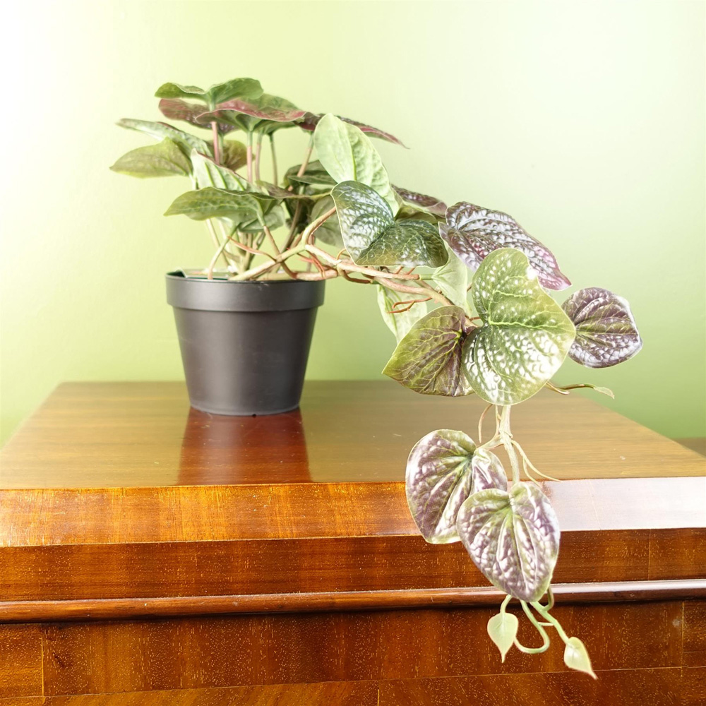 Leaf Trailing Purple Pothos Artificial Plant in Pot 35cm Image 2