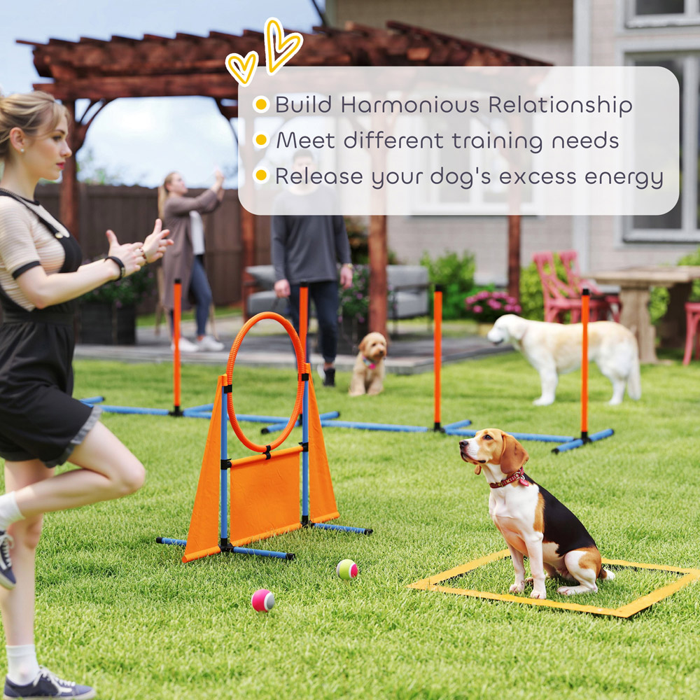 PawHut 6 Piece Orange Dog Agility Set Image 6