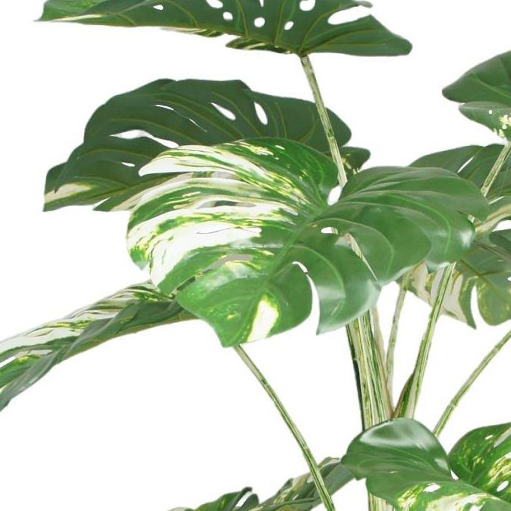 Botanik Variegated Monstera Artificial Tree in Pot 6ft Image 2