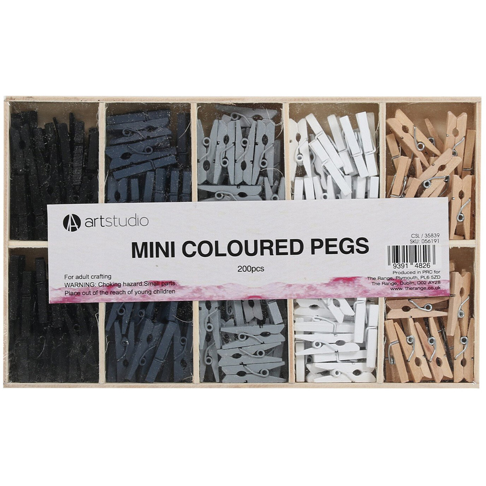 Art Studio Mini Coloured Pegs Image 2