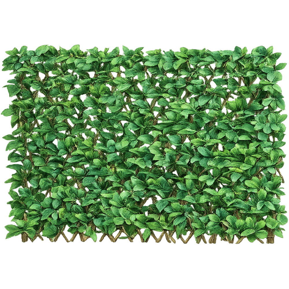 Thompson & Morgan Artificial Laurel Leaf Folding Hedge Trellis 1 x 2m Image 1