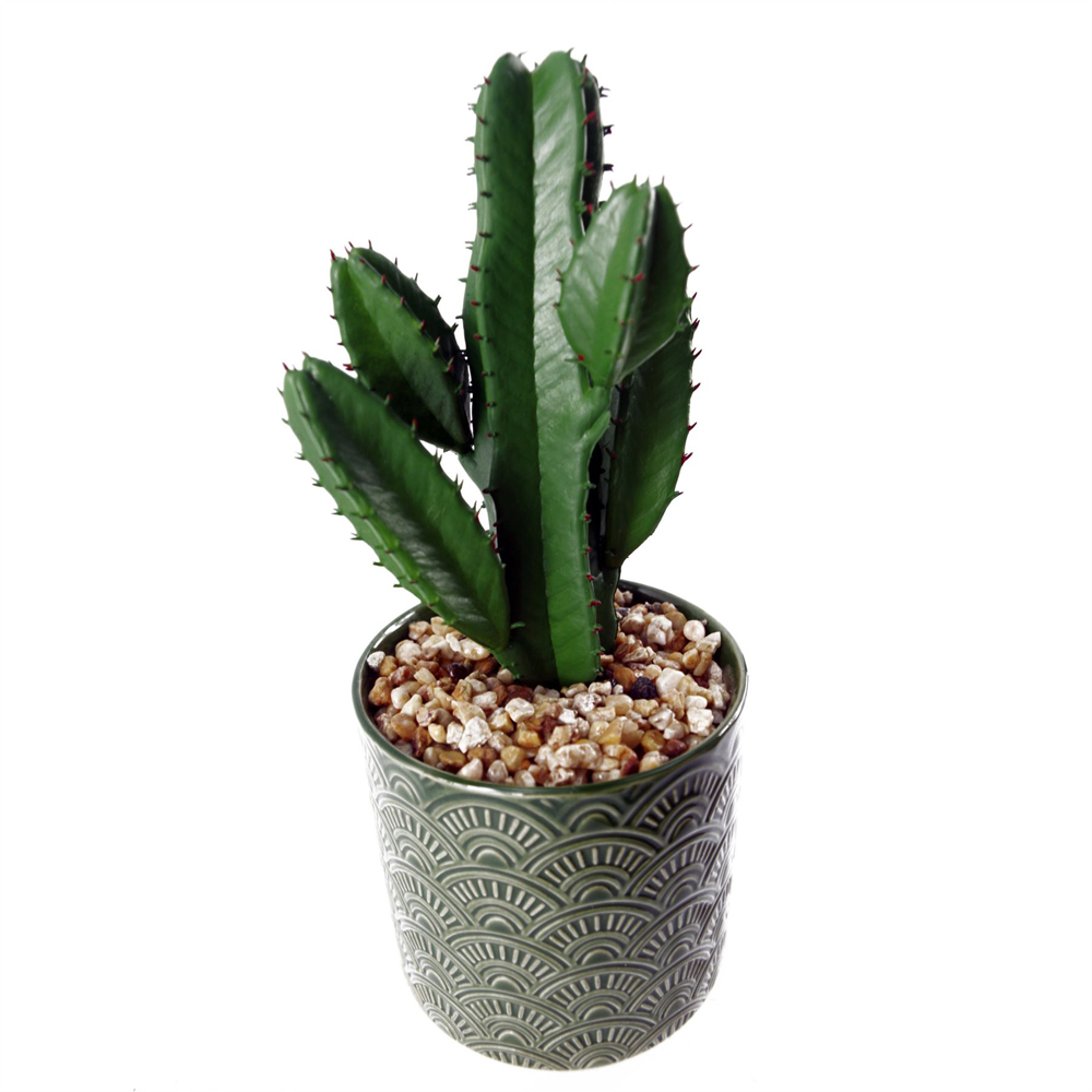 Leaf Cactus Artificial Plant in Green Ceramic Planter 23cm Image 2