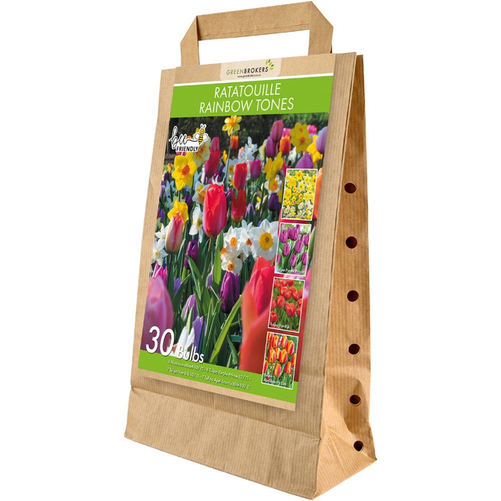 GreenBrokers Dutch Ratatouille Rainbow Bee Friendly Mixed Planting Bulb 30 Pack Image 1