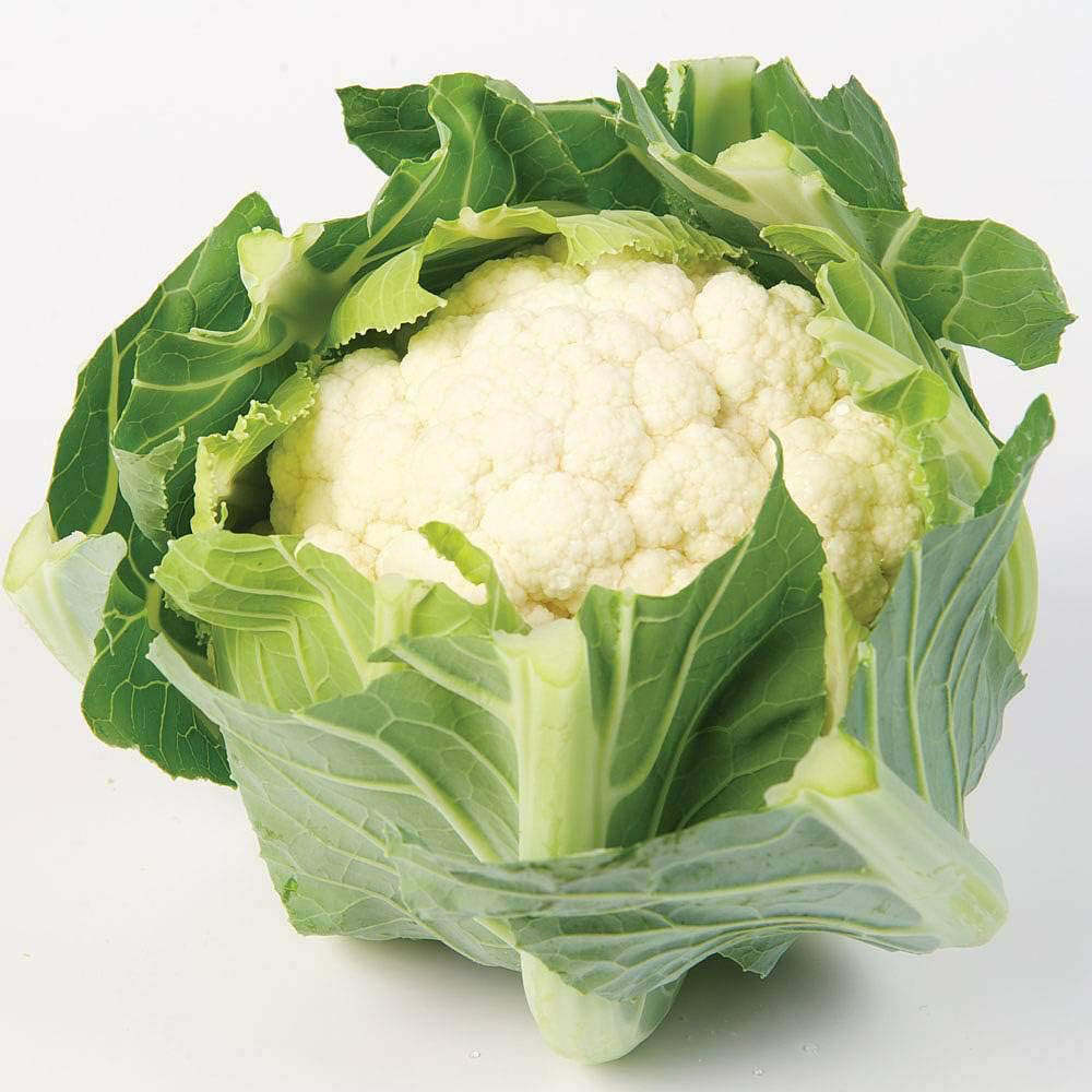 Thompson & Morgan Cauliflower White Step F1 Hybrid 30 Seeds Packet Image 1