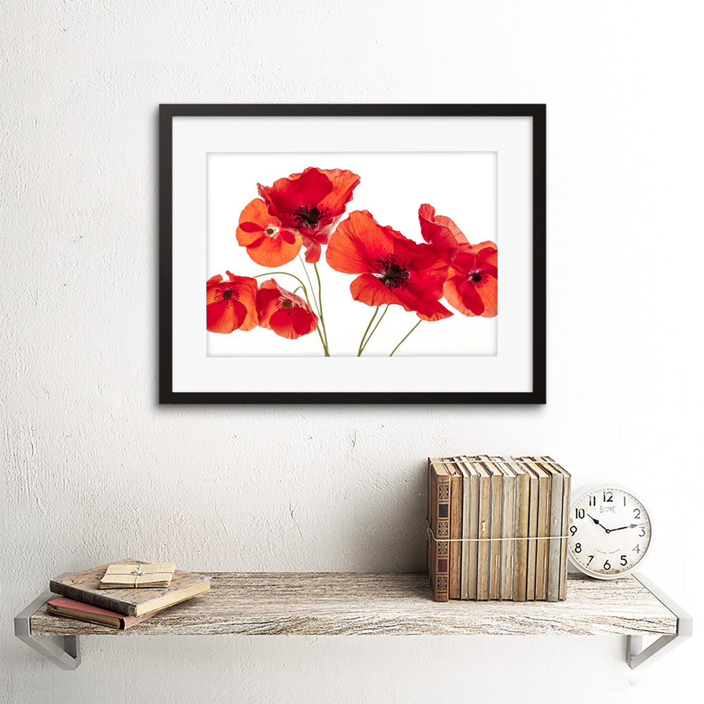 Wee Blue Coo Flower Poppy Heads Red Petals Photo Framed Wall Art Print 30 x 41cm Image 2